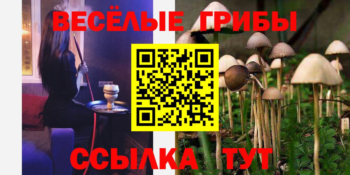 Псилоцибиновые грибы мицелий  Галлюциногенные грибы мухоморы  Вход с VPN  Волжский 